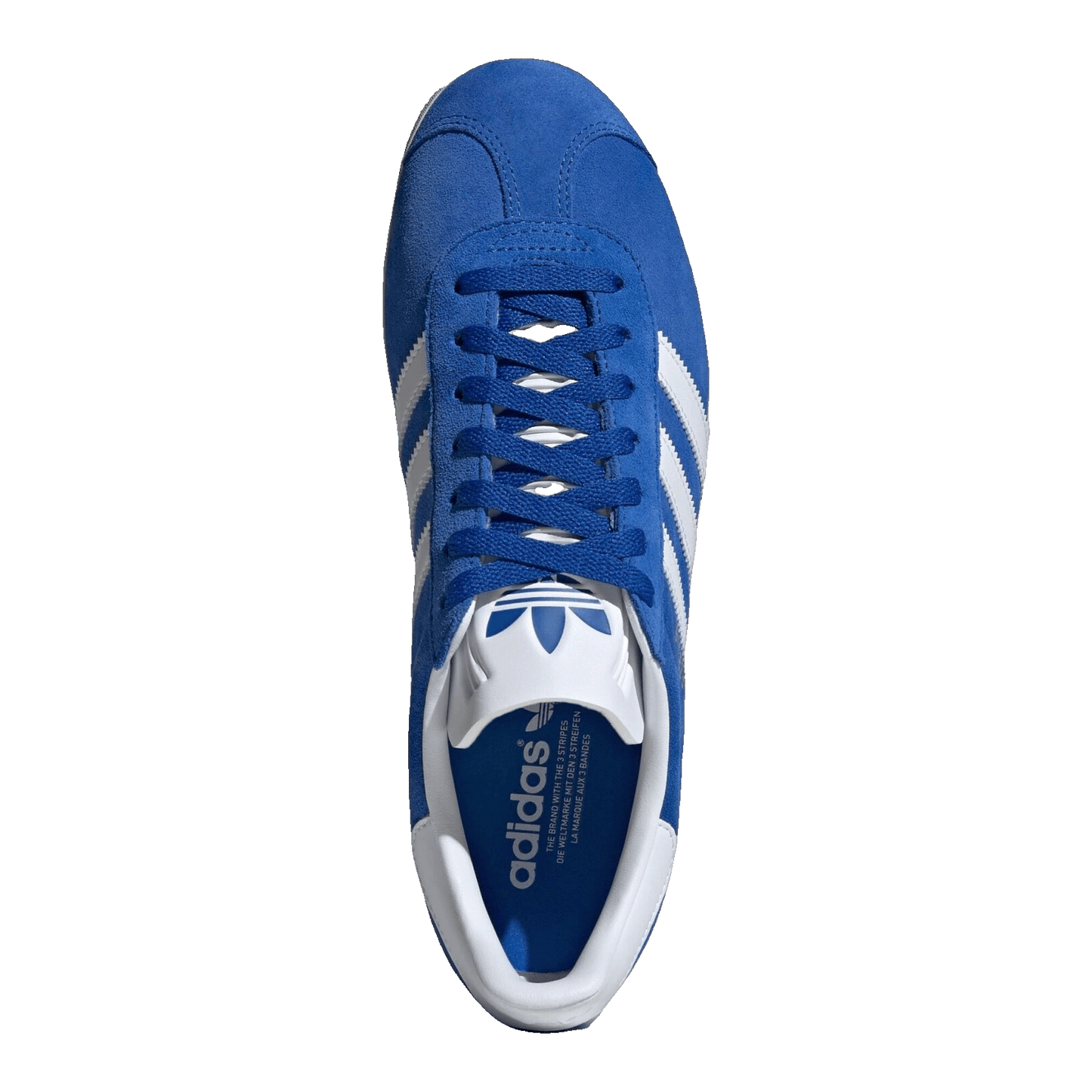adidas Gazelle Blue Cloud White Oben IG2093