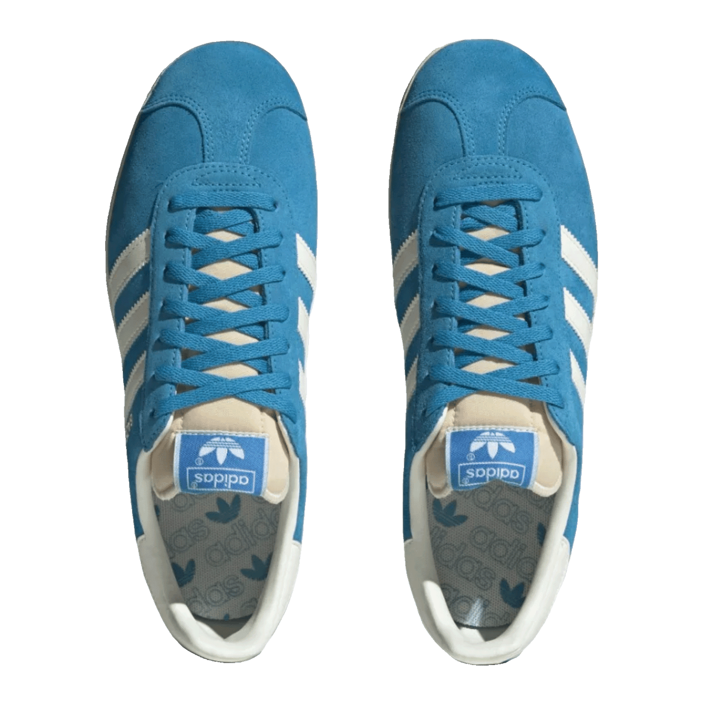 adidas Gazelle Bold Aqua Off White Cream White Oben