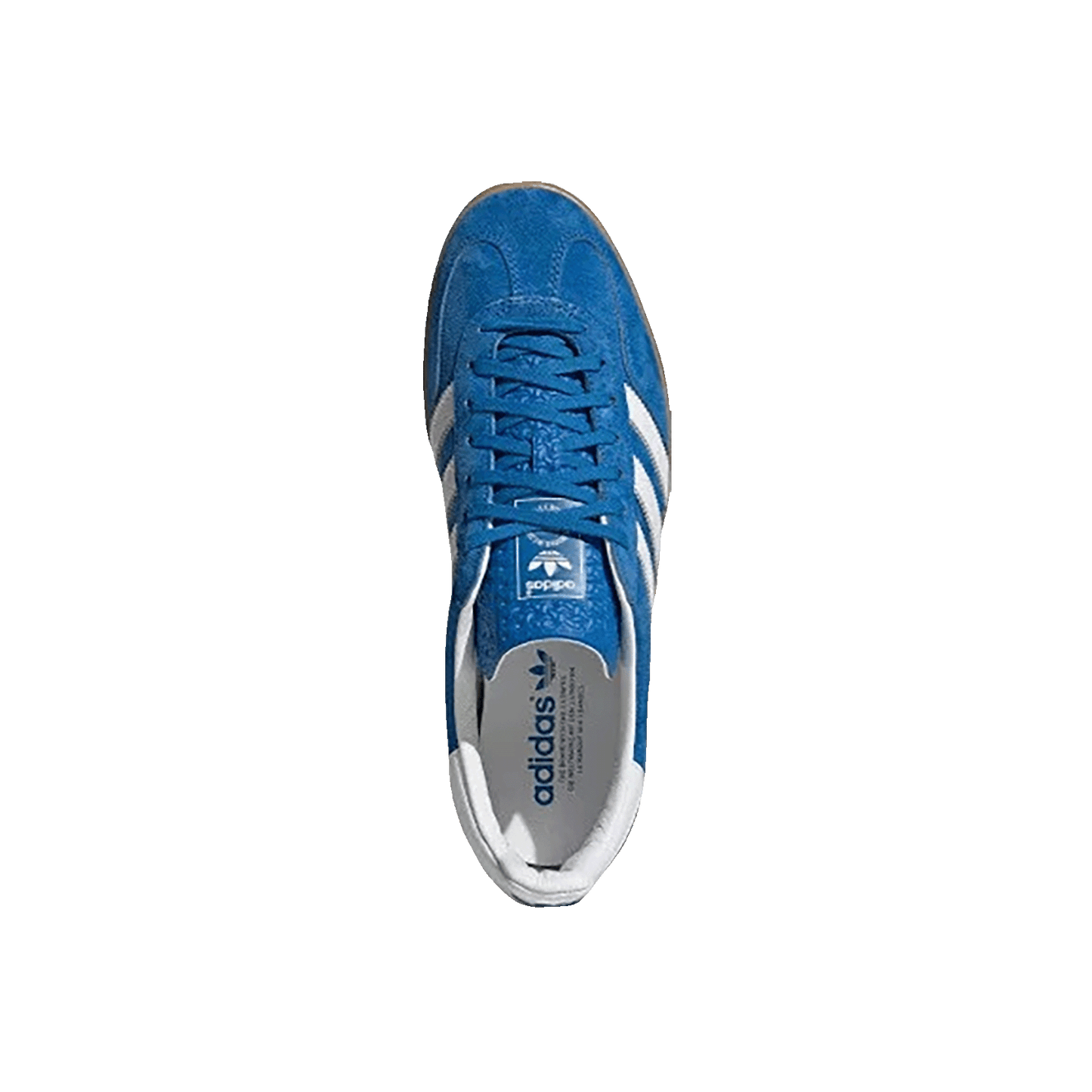 adidas Gazelle Indoor Blue Bird Gum Oben