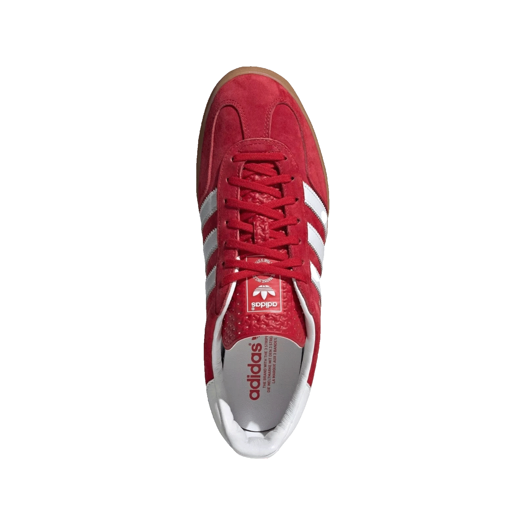 adidas Gazelle Indoor Scarlet Cloud White Oben