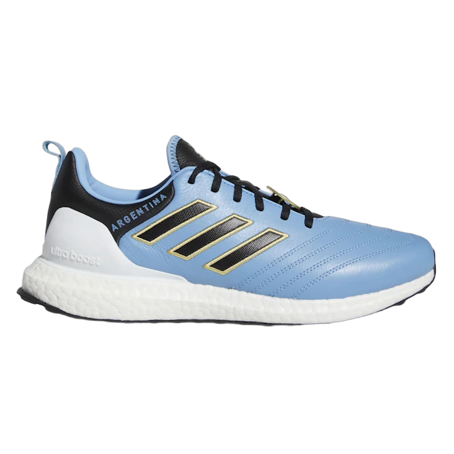 adidas Ultra Boost DNA Copa World Cup Argentina GW7267
