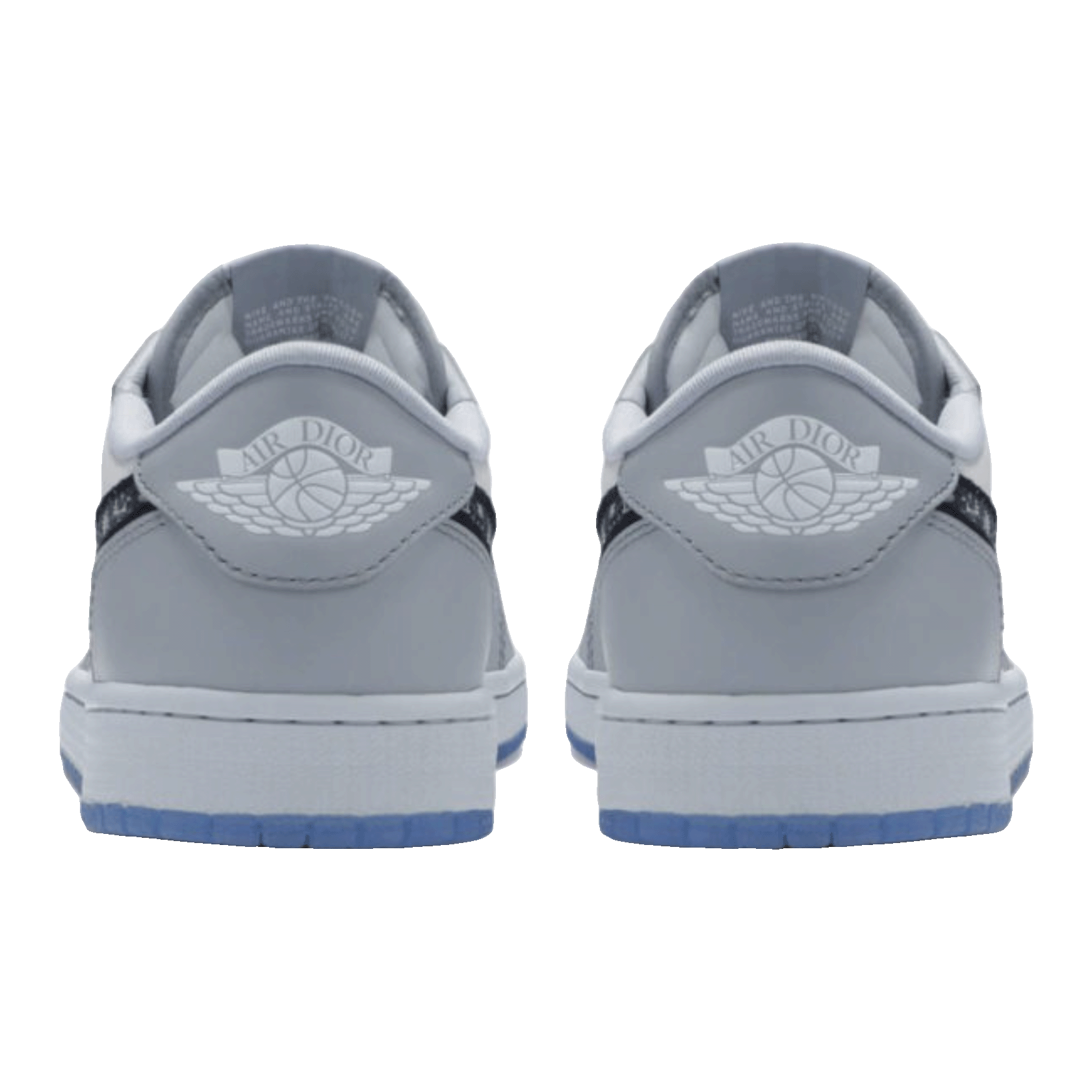 Nike Air Jordan 1 Retro Low Dior Back