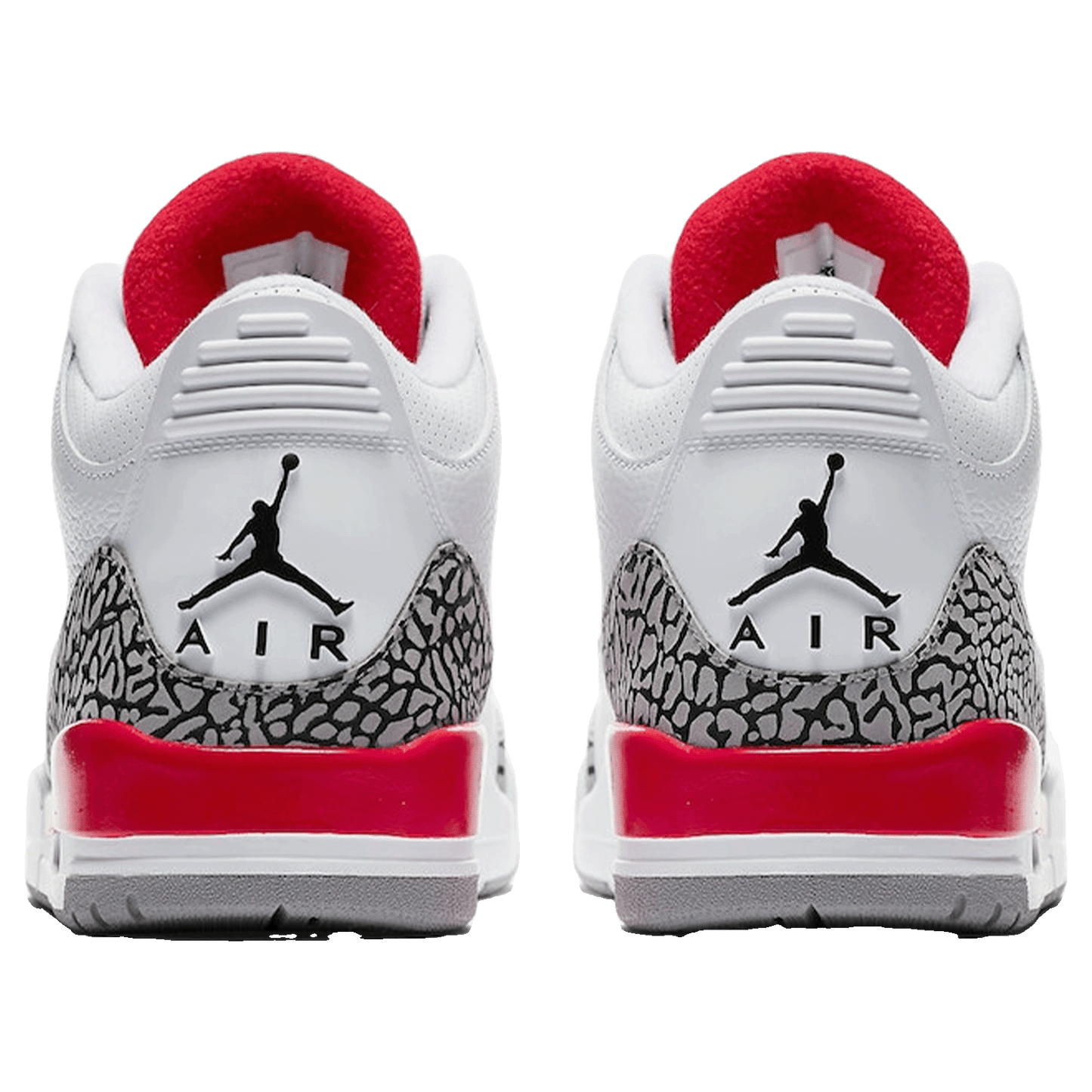 Nike Air Jordan 3 Retro Hall of Fame Back