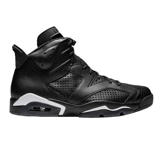 Nike Air Jordan 6 Retro Black Cat