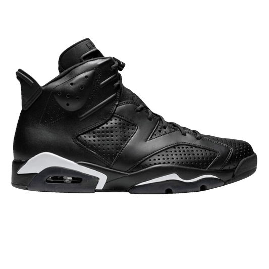 Nike Air Jordan 6 Retro Black Cat (GS)