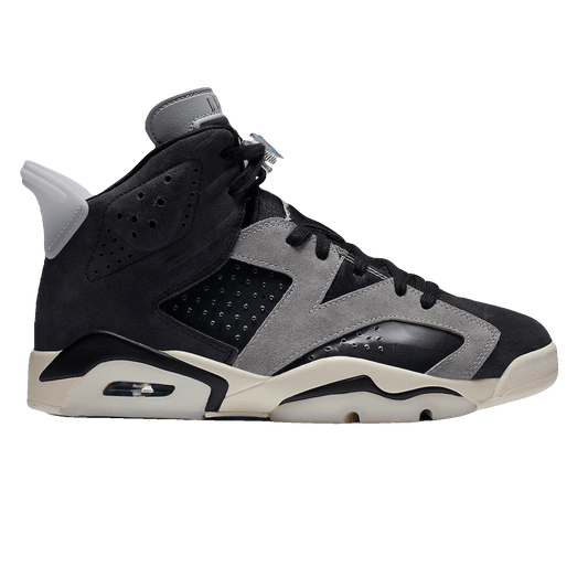 Nike Air Jordan 6 Retro Tech Chrome (W)