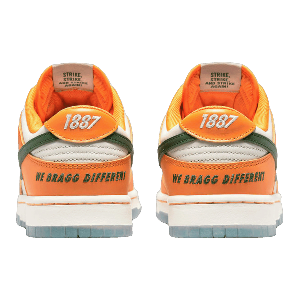 Nike Dunk Low FAMU Back DR6188-800