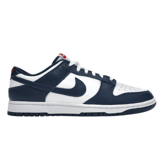 Nike Dunk Low Valerian Blue