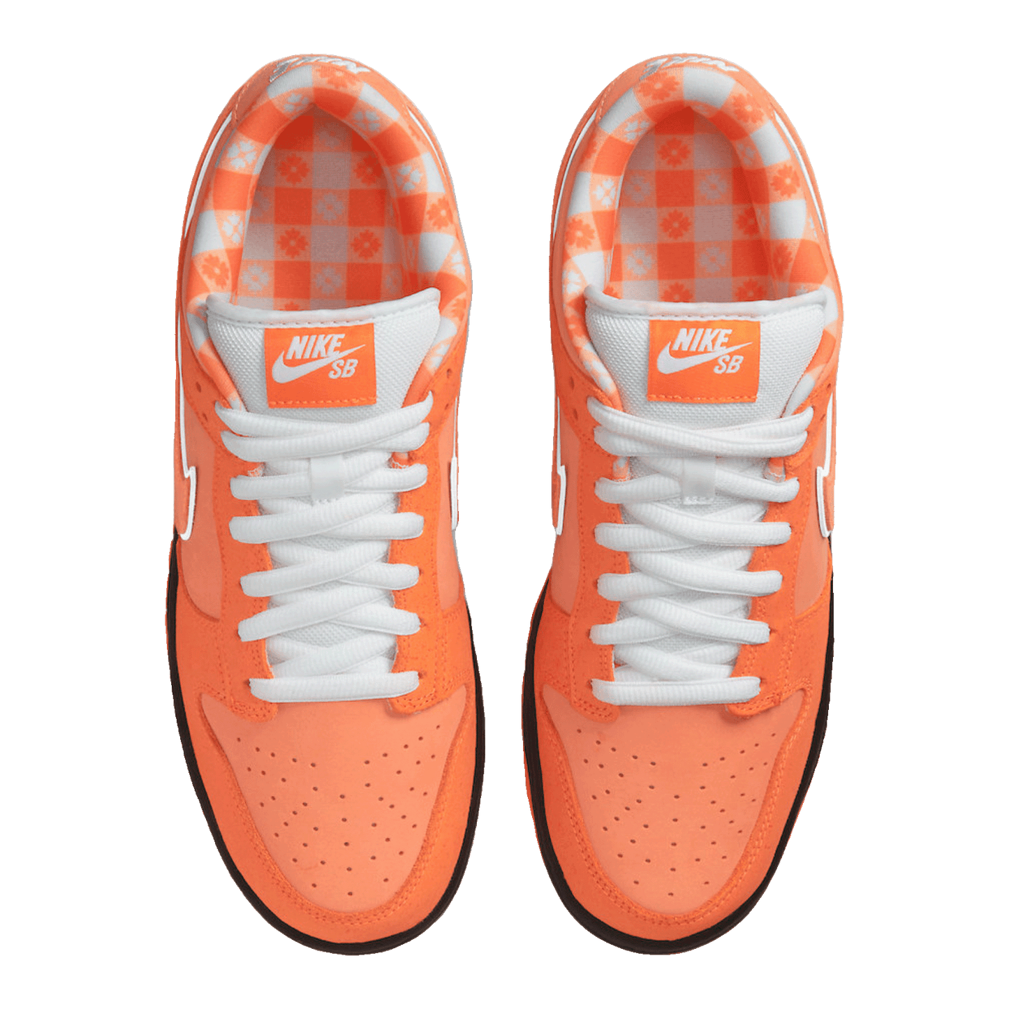 Nike SB Dunk Low Concepts Orange Lobster Oben