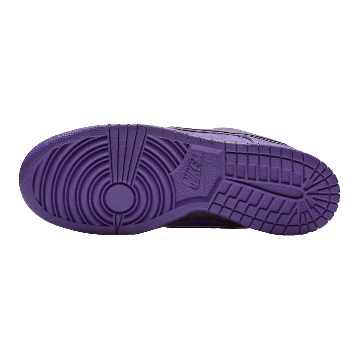 Nike SB Dunk Low Concepts Purple Lobster Sohle