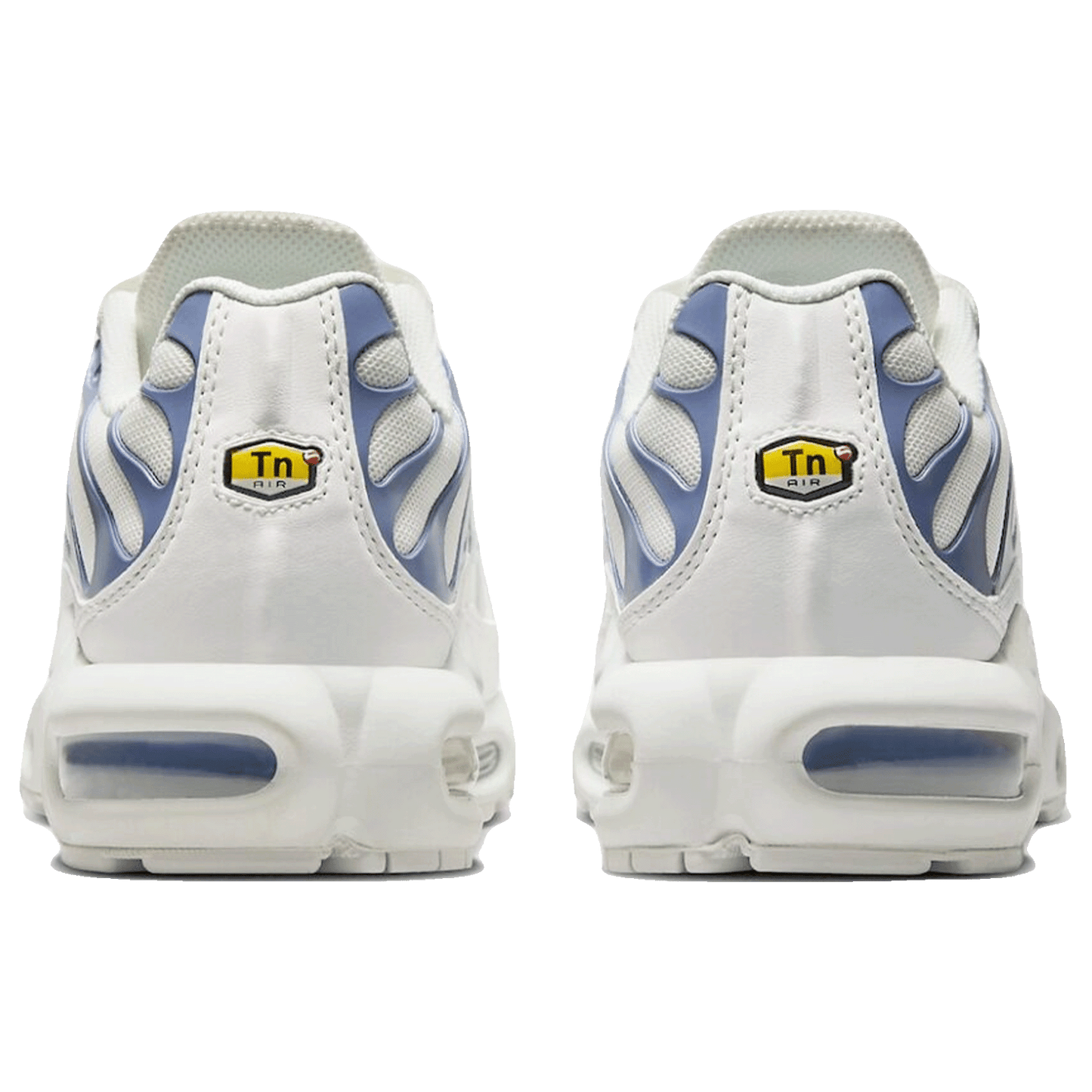 Nike TN Air Max Plus Ashen Slate (W) Back