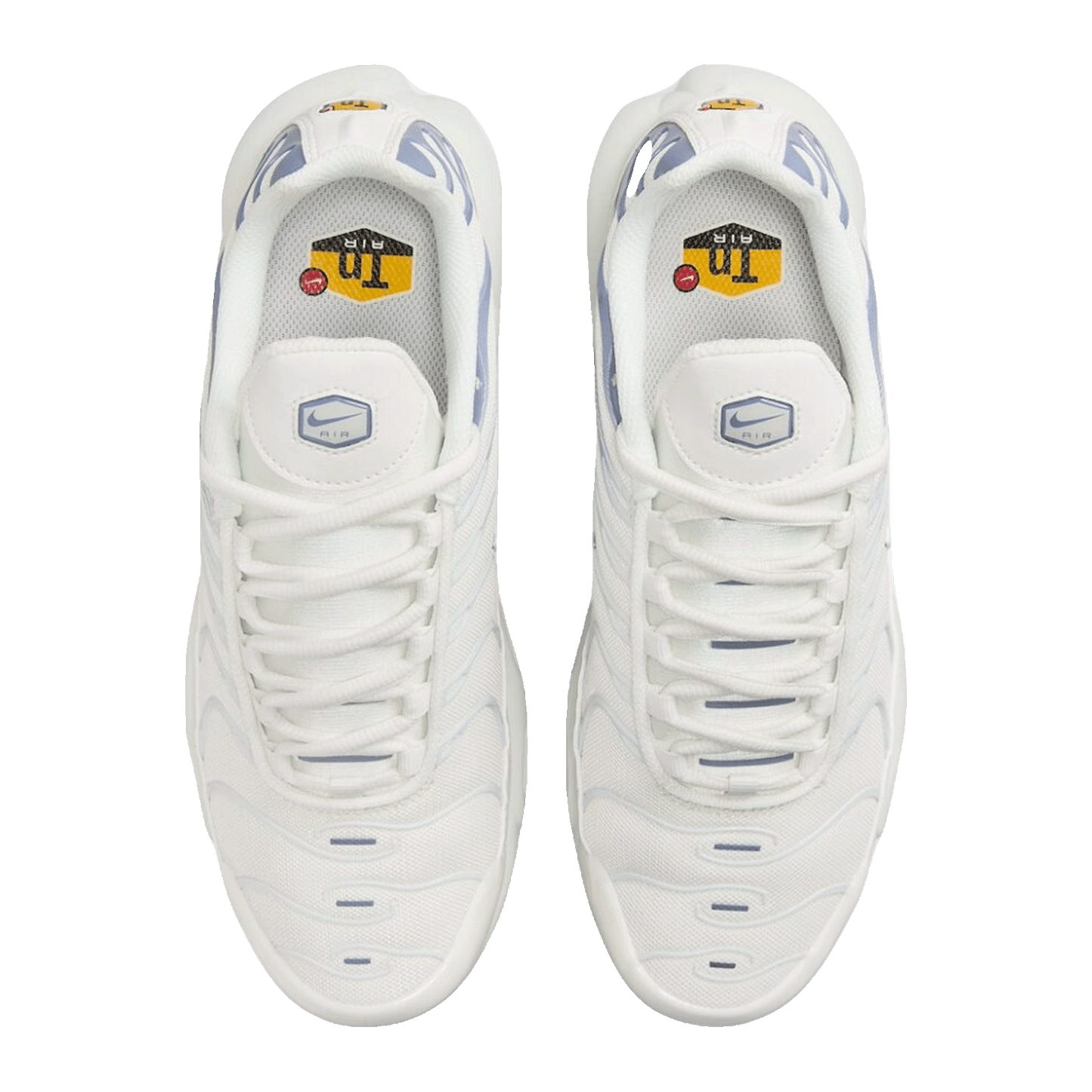 Nike TN Air Max Plus Ashen Slate (W) Oben