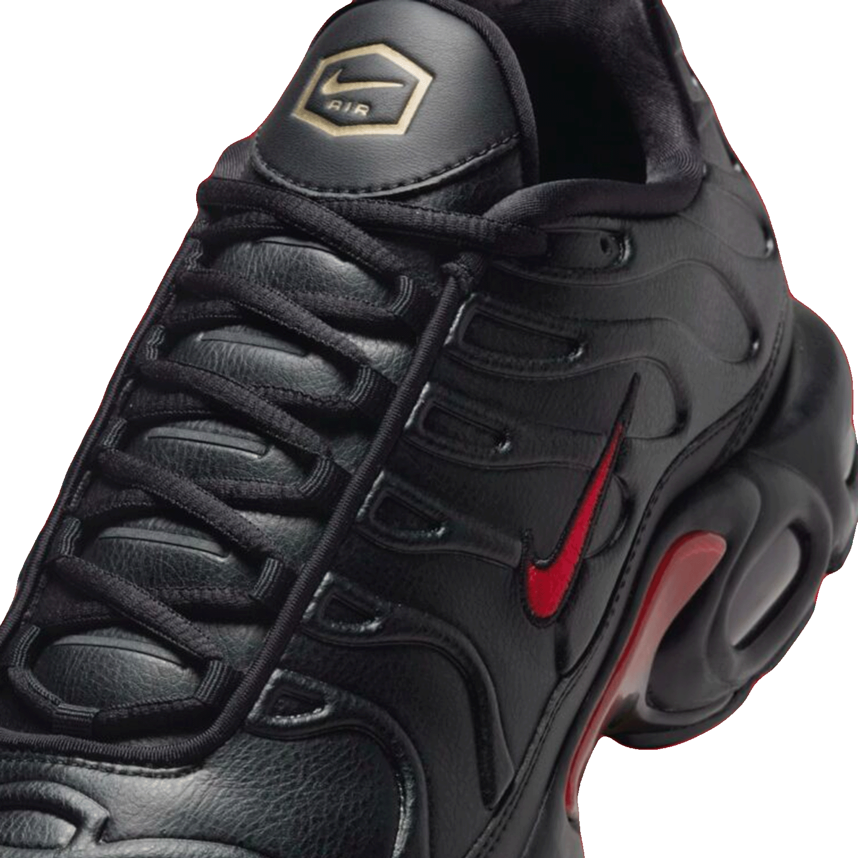 Nike TN Air Max Plus Premium Bred Tongue