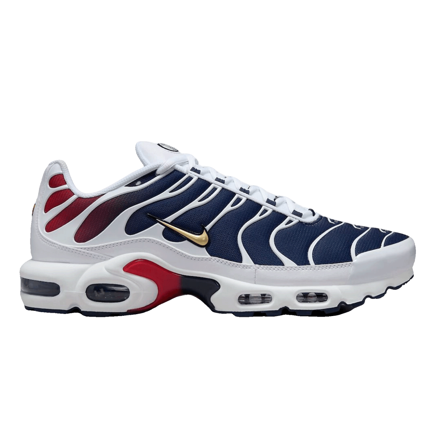 Nike TN Air Max Plus PSG