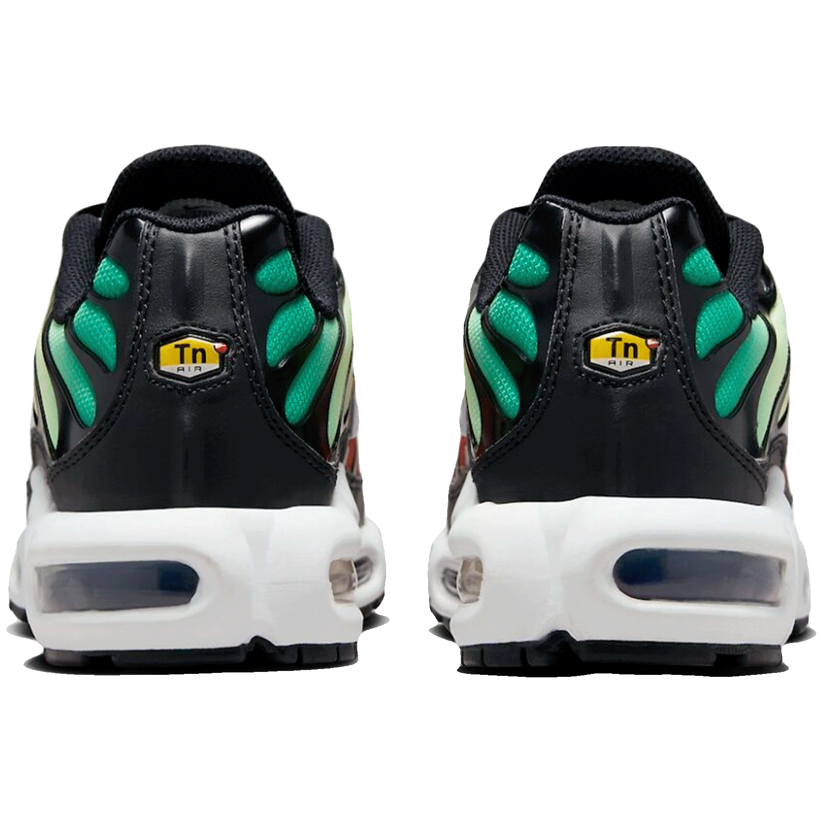 Nike TN Air Max Plus Rainbow (W) Back