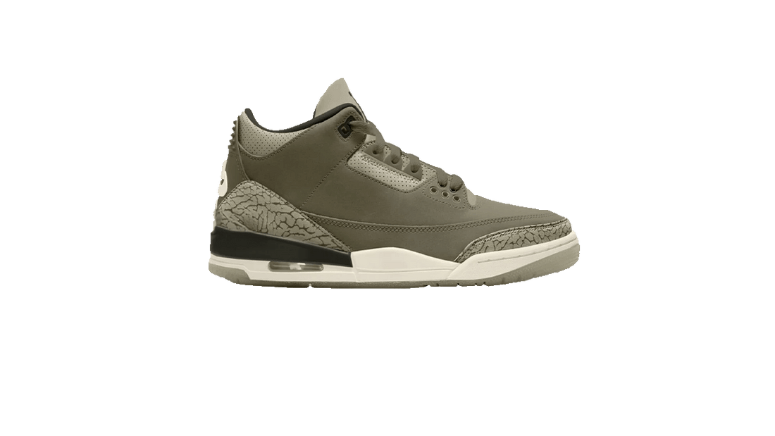 Nike Air Jordan 3 Family Affair