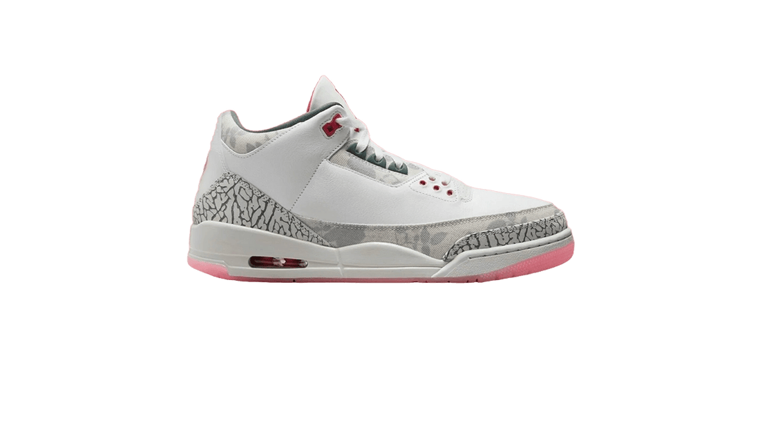 Nike Air Jordan 3 "Wings"