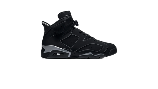 Nike Air Jordan 6 “Cap and Gown"