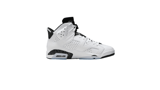 Nike Air Jordan 6 "Reverse Oreo"