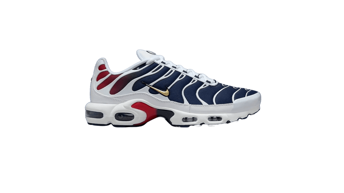 Nike Air Max Plus "PSG"