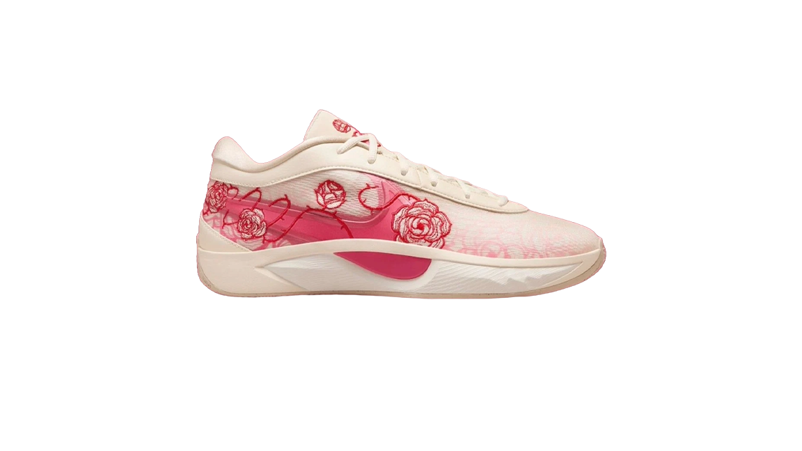 drake x giannis x nike