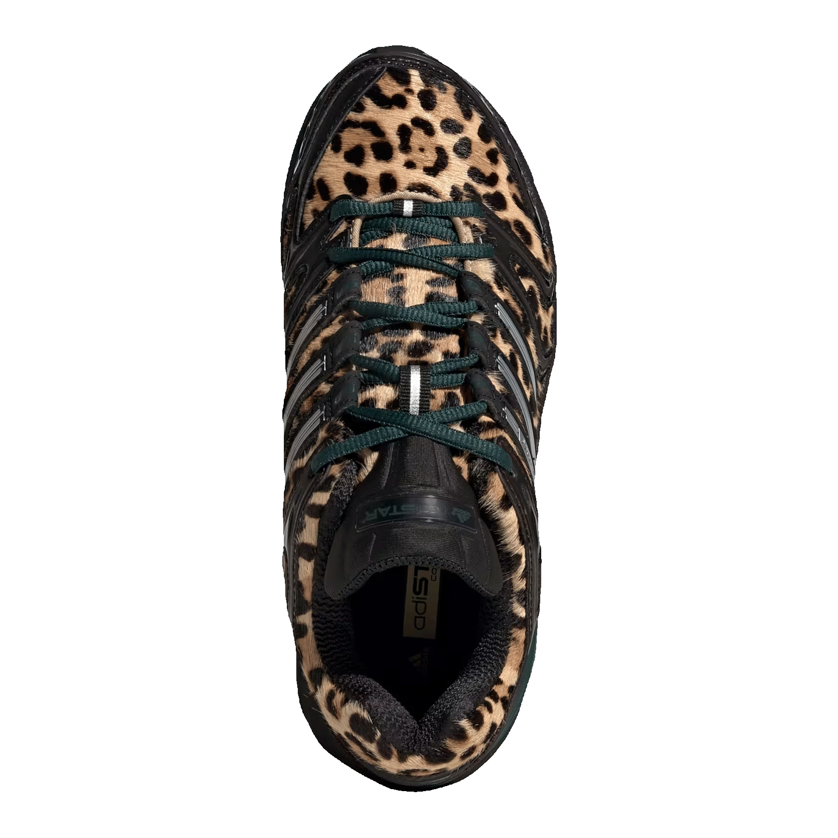 adidas Adistar Control 5 Leopard Aurora Ivy Black (W) Oben KI4204