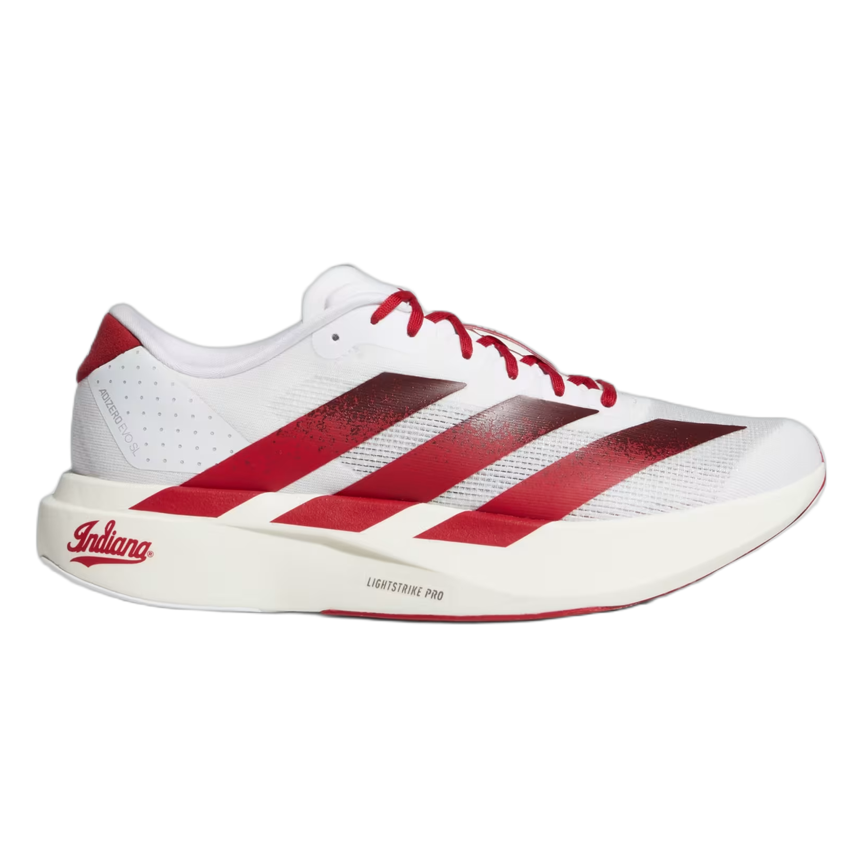 adidas Adizero Evo SL Indiana JQ4576