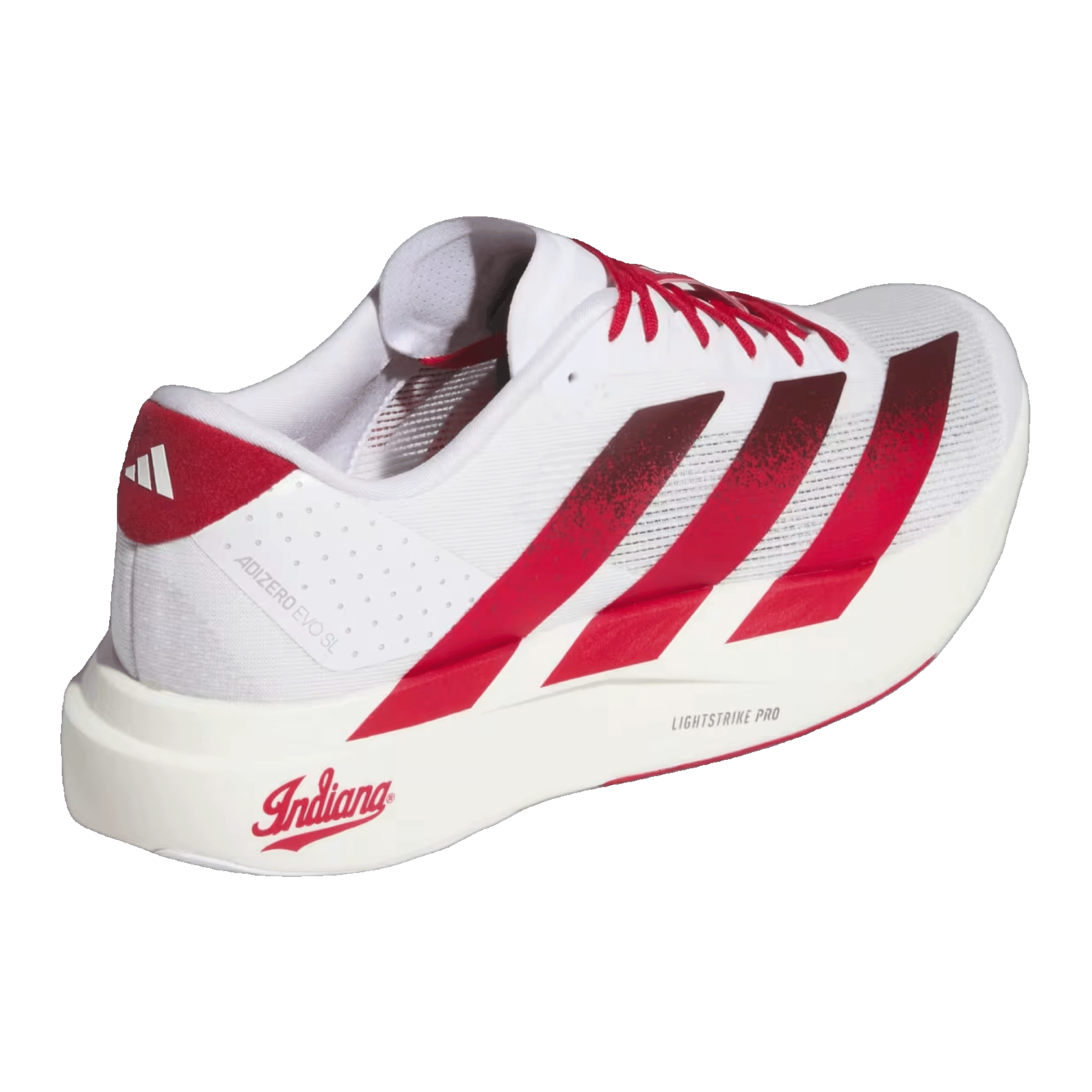 adidas Adizero Evo SL Indiana Back JQ4576