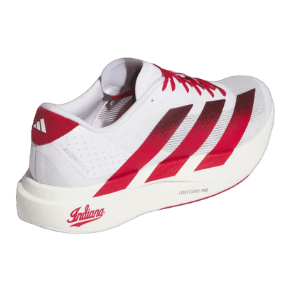 adidas Adizero Evo SL Indiana Back JQ4576