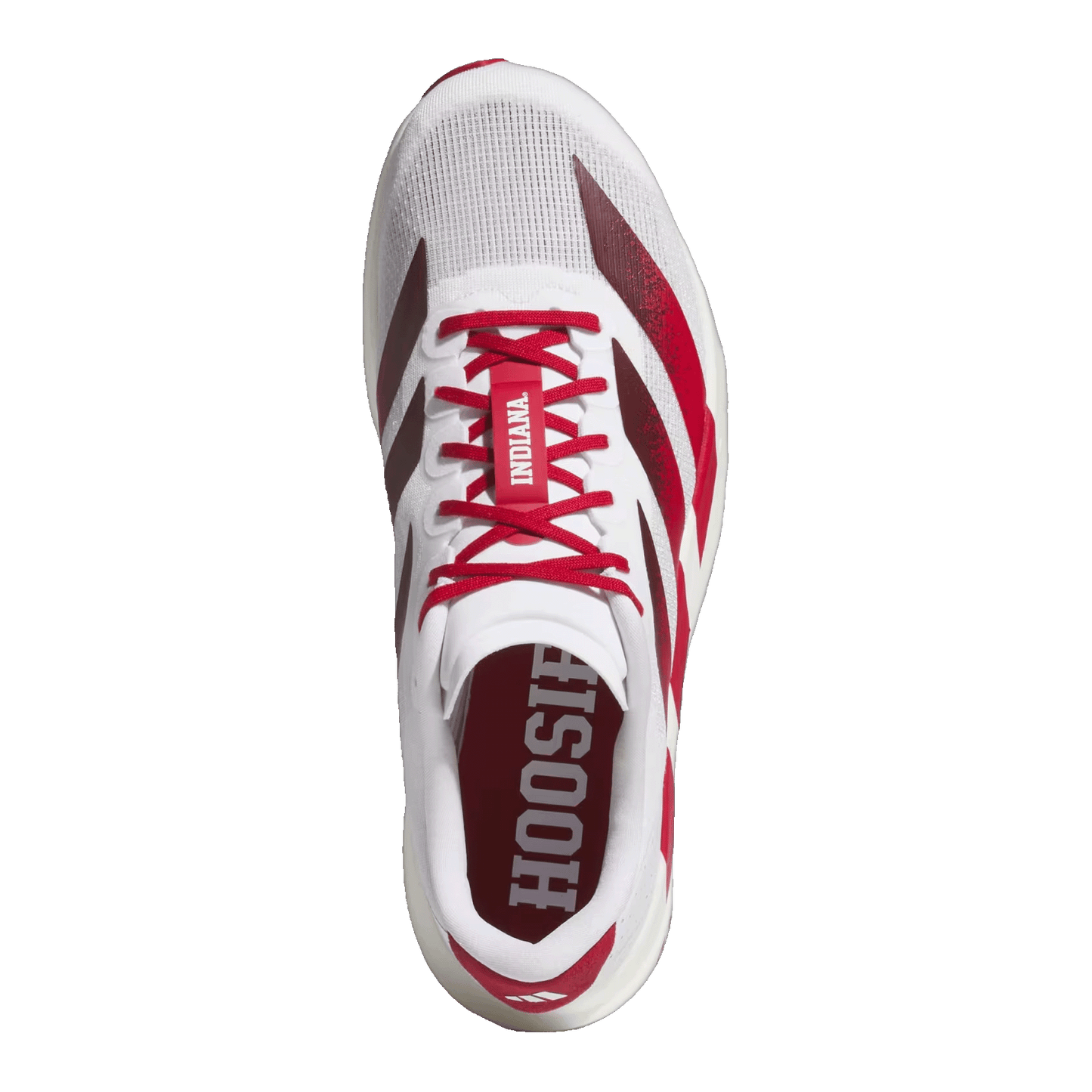 adidas Adizero Evo SL Indiana Oben JQ4576