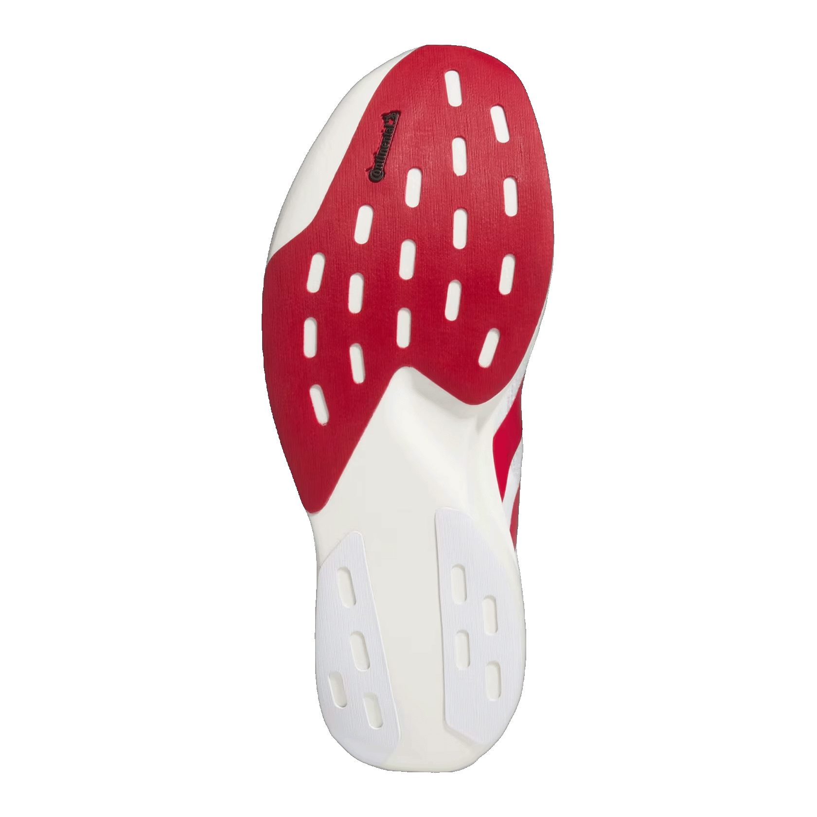 adidas Adizero Evo SL Indiana Sohle JQ4576