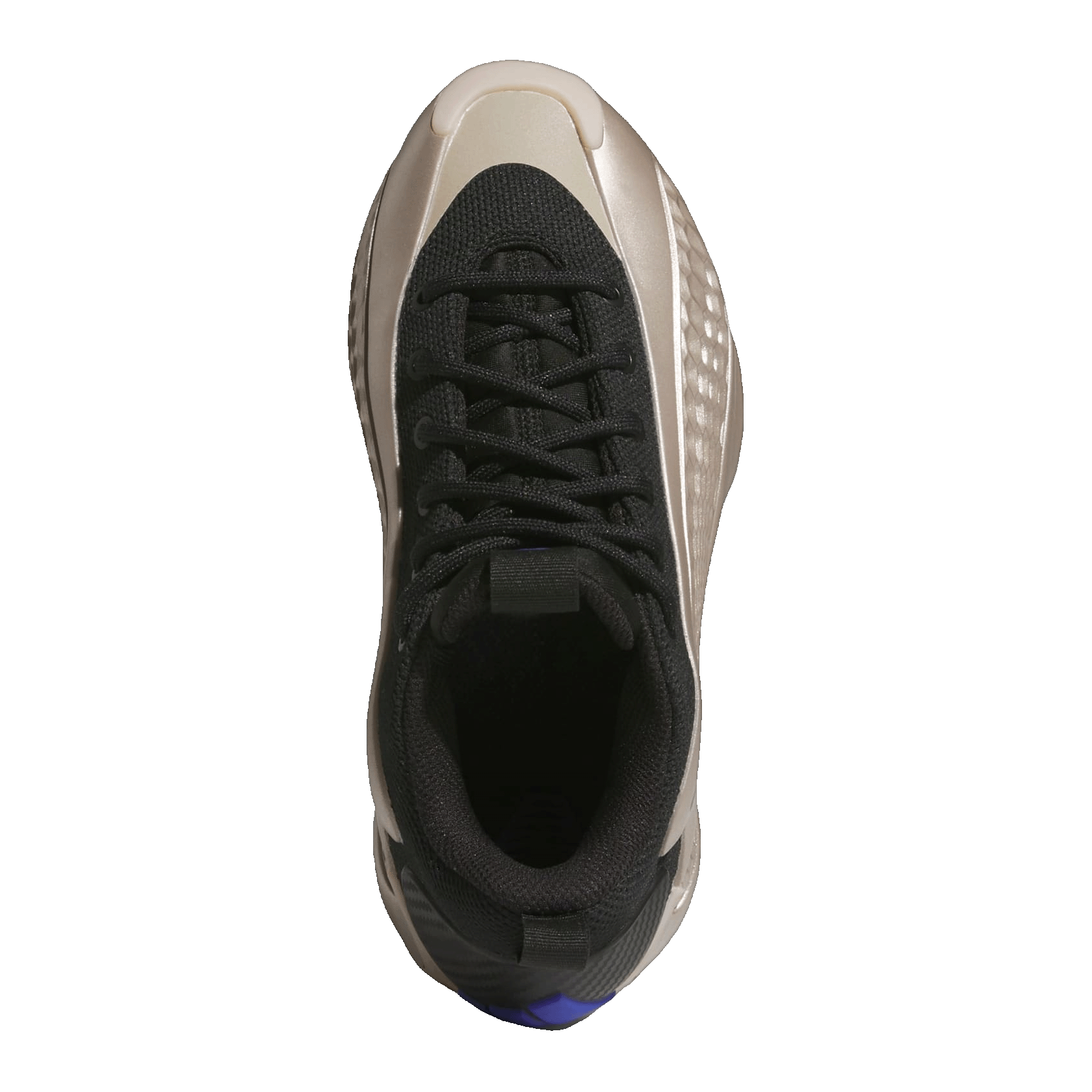 adidas AE 1 Low Champagne Metallic (GS) Oben JQ6132