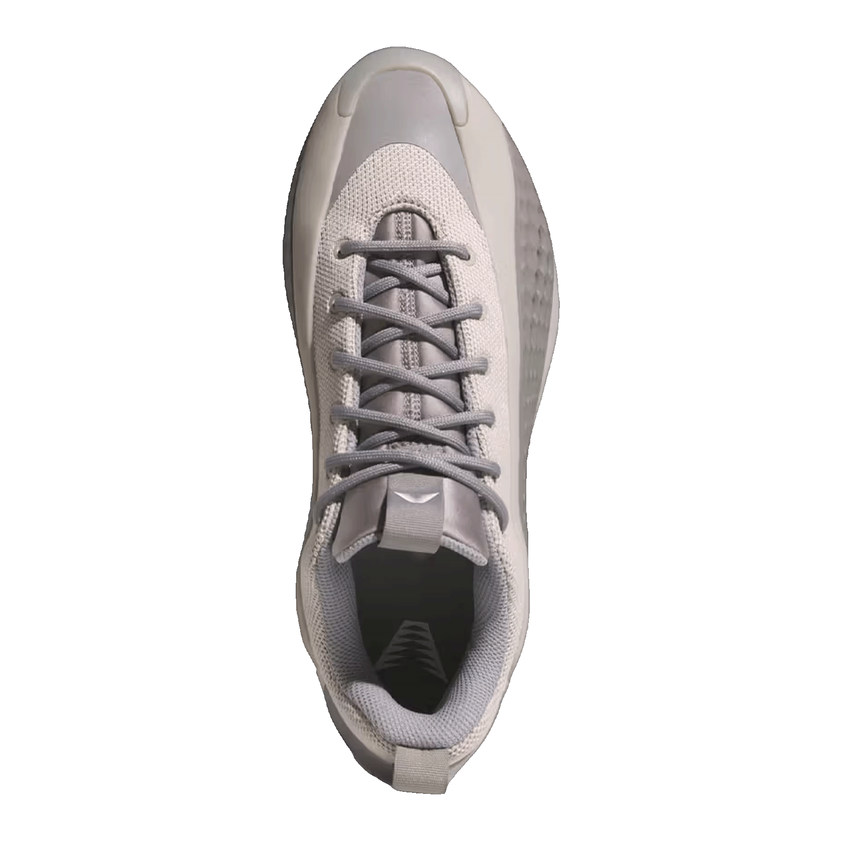 adidas AE 1 Low Metallic Grey Oben JS1775