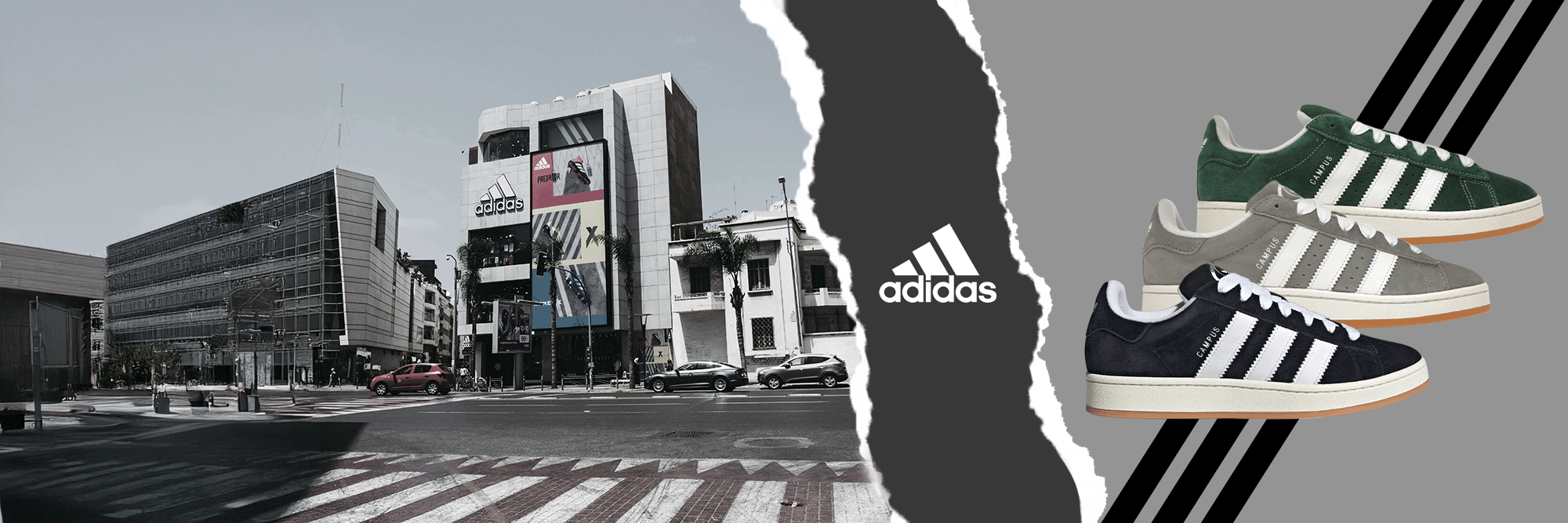 Adidas Campus