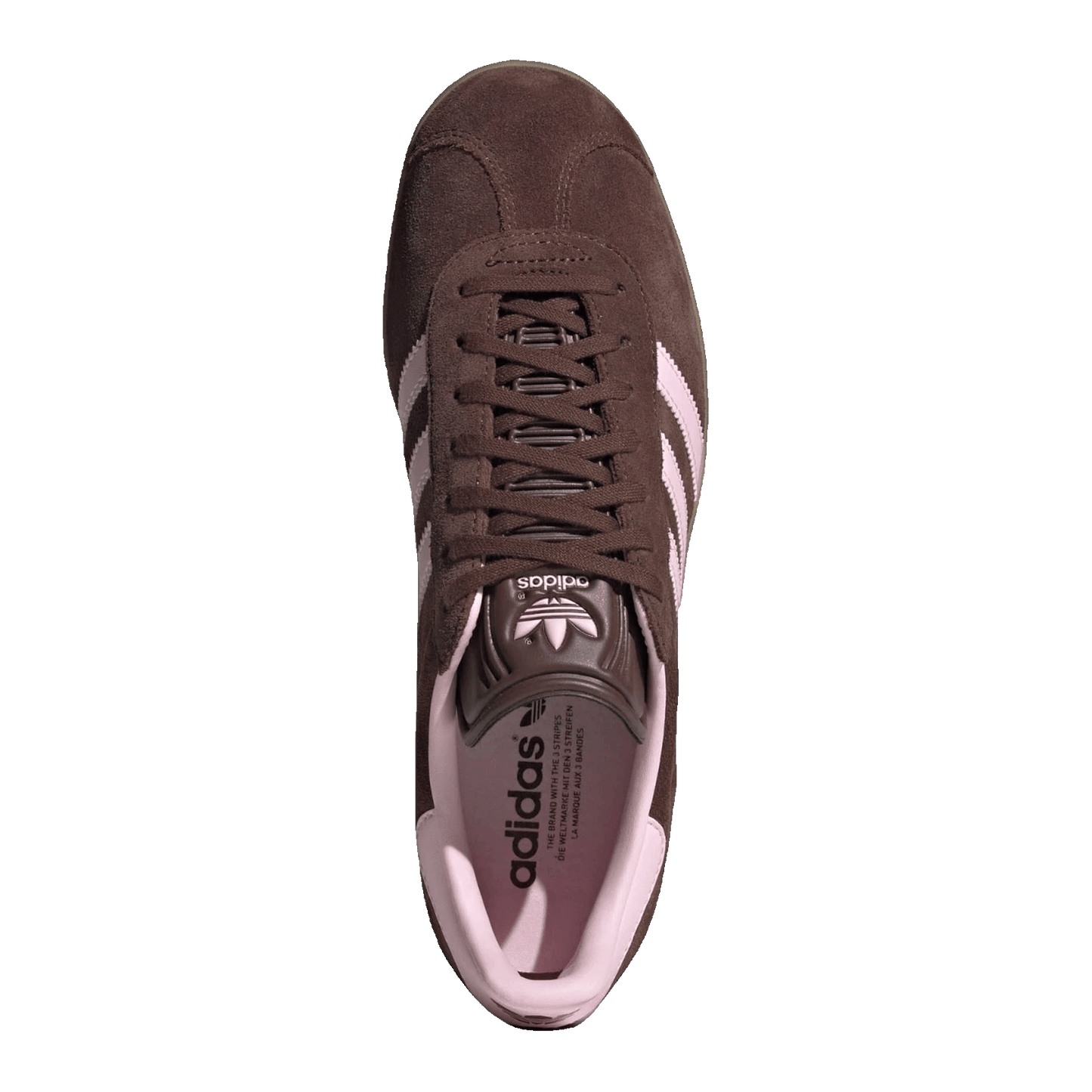 adidas Gazelle Auburn Clear Pink Oben JH5666