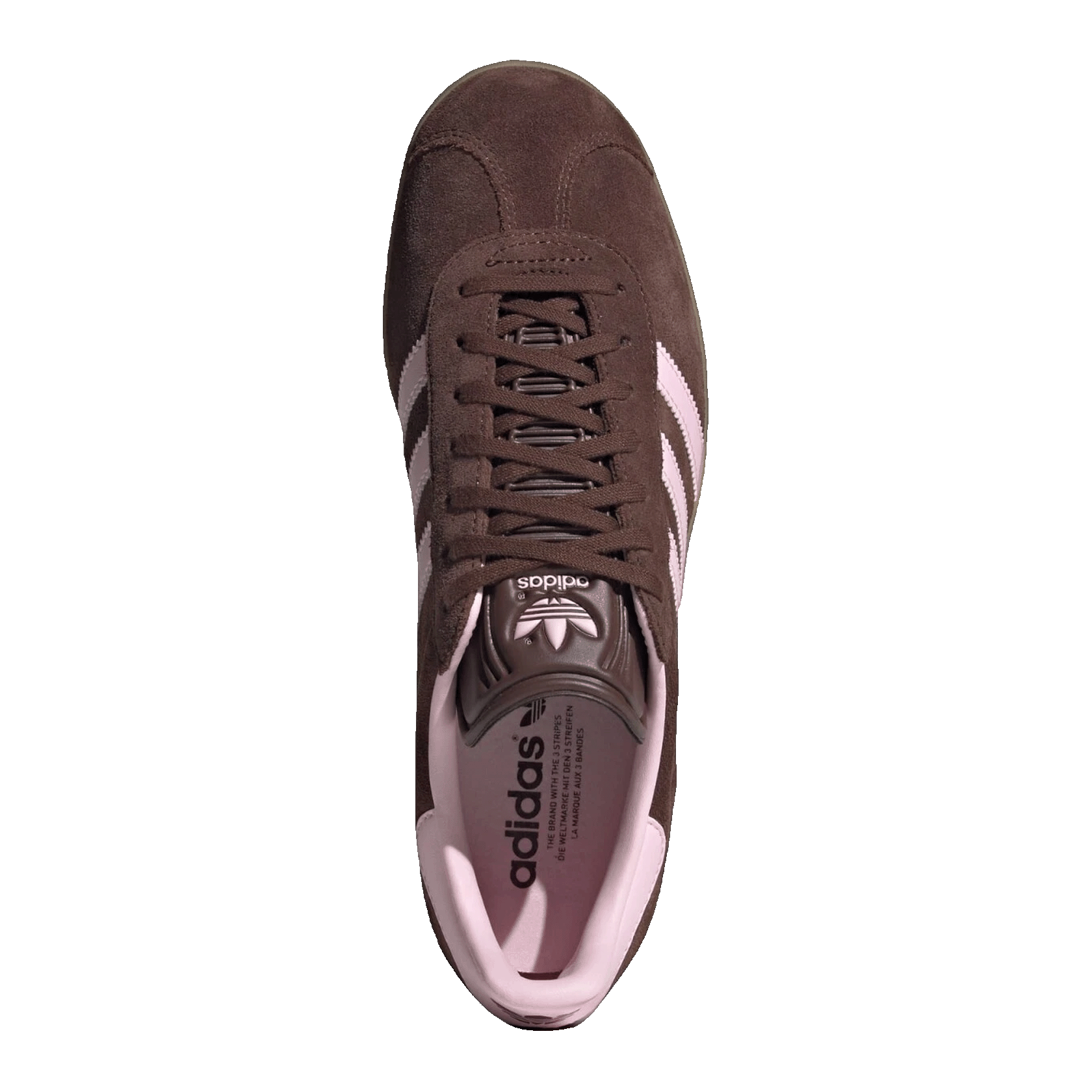 adidas Gazelle Auburn Clear Pink Oben JH5666