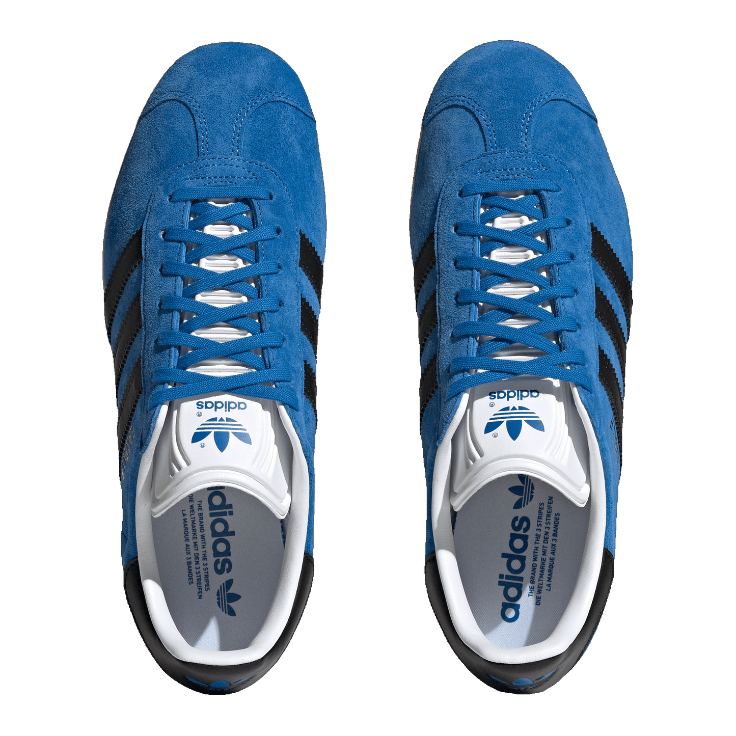 adidas Gazelle Blue Bird Core Black Oben IG0666