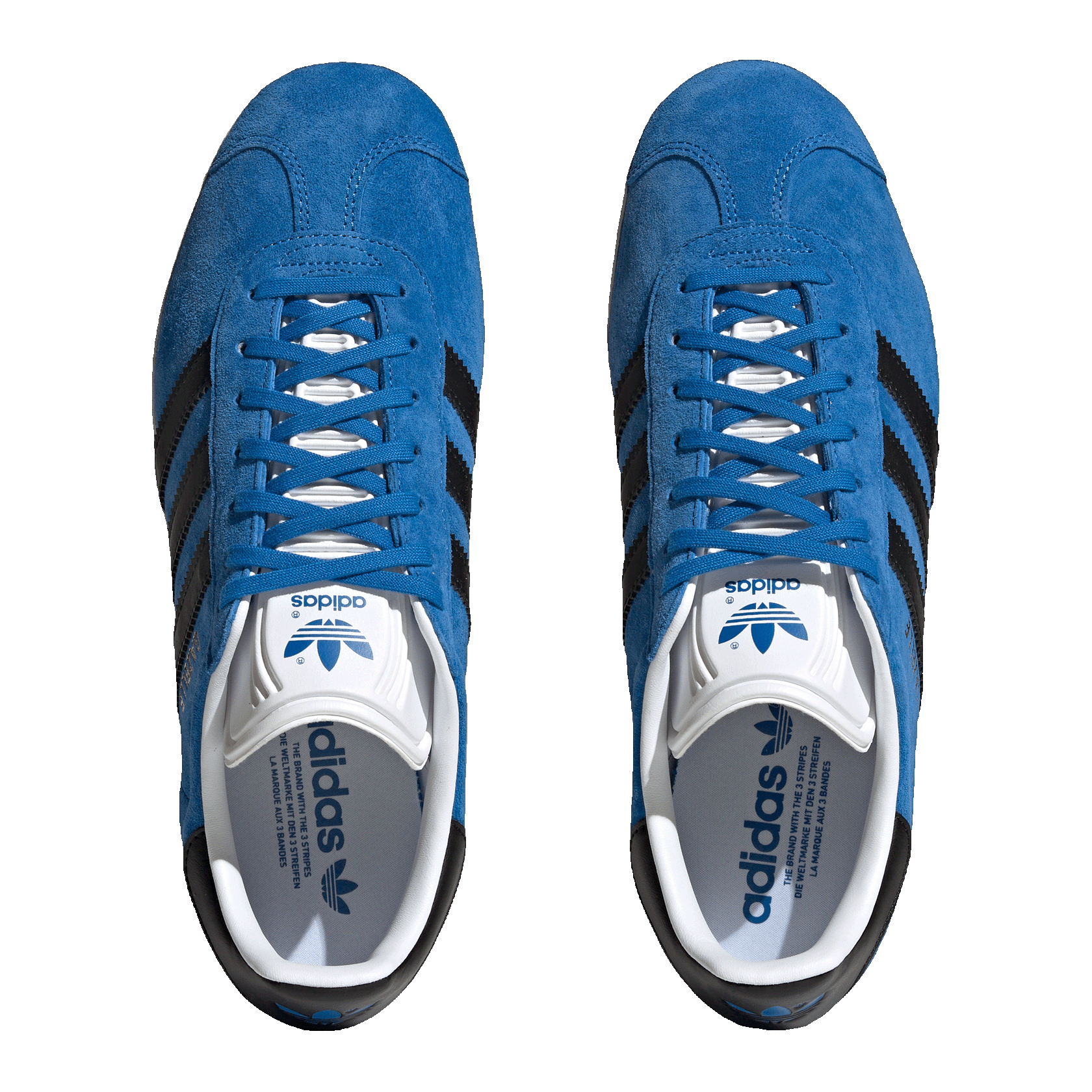 adidas Gazelle Blue Bird Core Black Oben IG0666