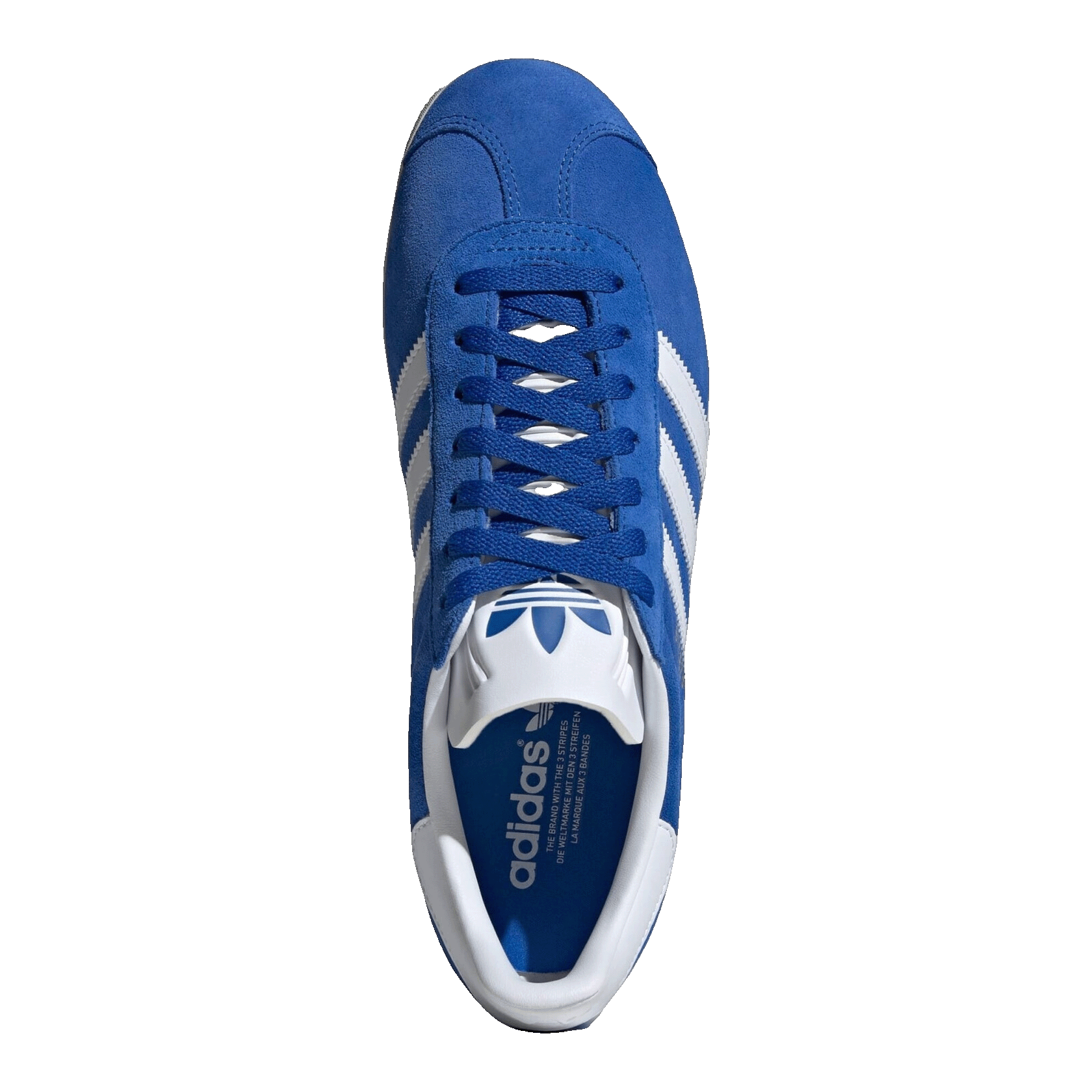 adidas Gazelle Blue Cloud White Oben IG2093