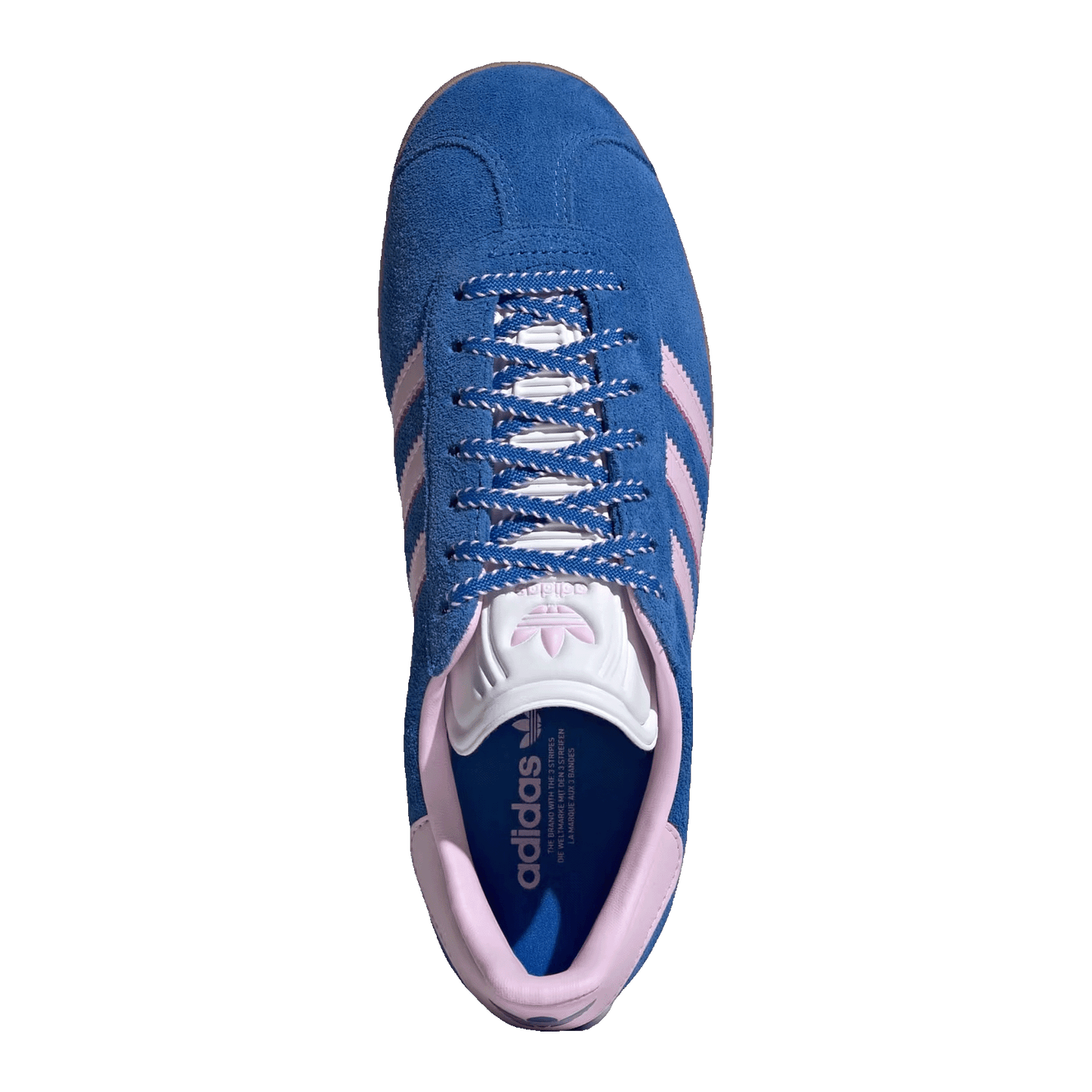 adidas Gazelle Blue Orchid Fusion Gum (W) Oben JH7219
