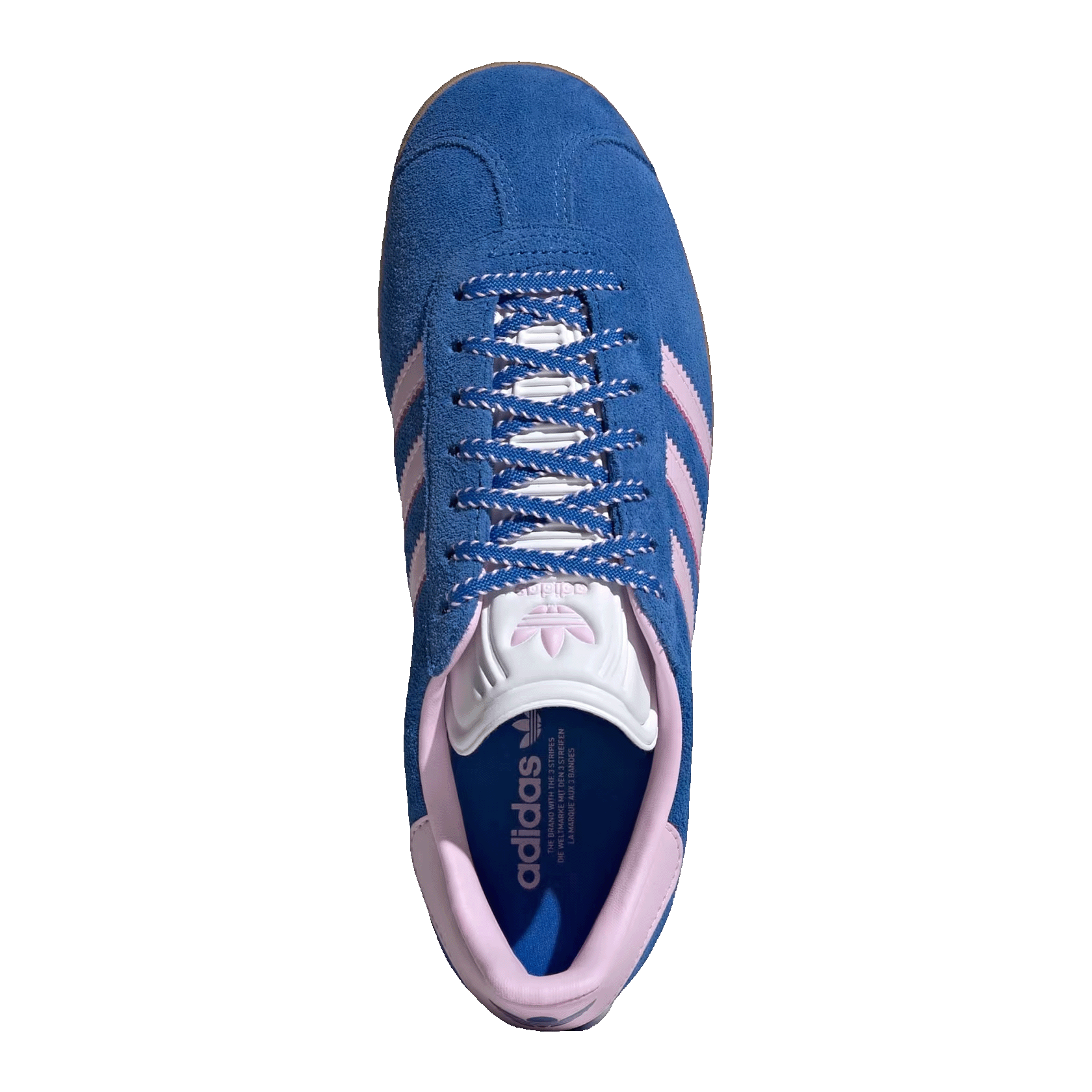 adidas Gazelle Blue Orchid Fusion Gum (W) Oben JH7219