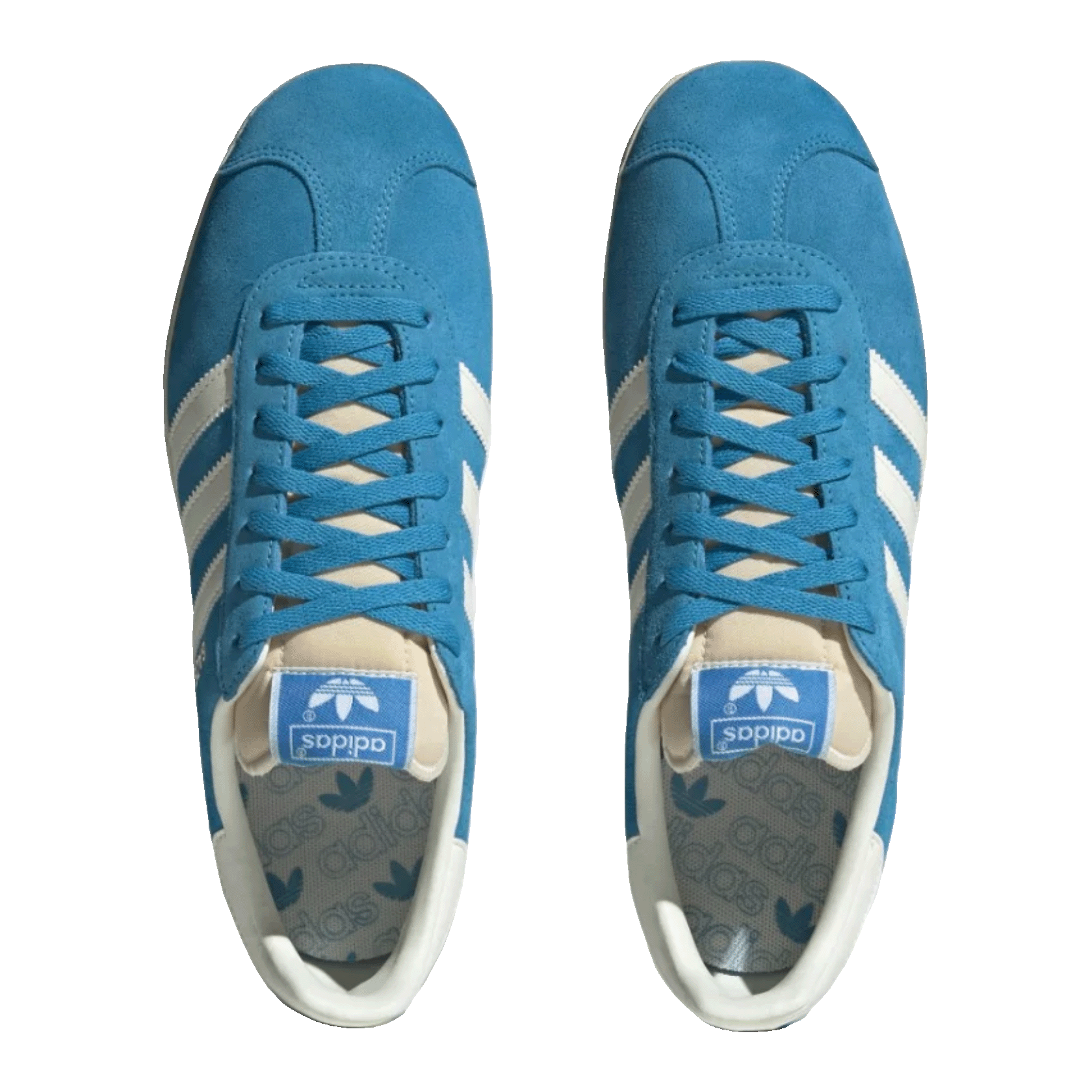 adidas Gazelle Bold Aqua Off White Cream White Oben