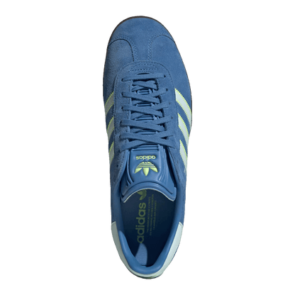 adidas Gazelle Charlotte FC Third Kit Oben