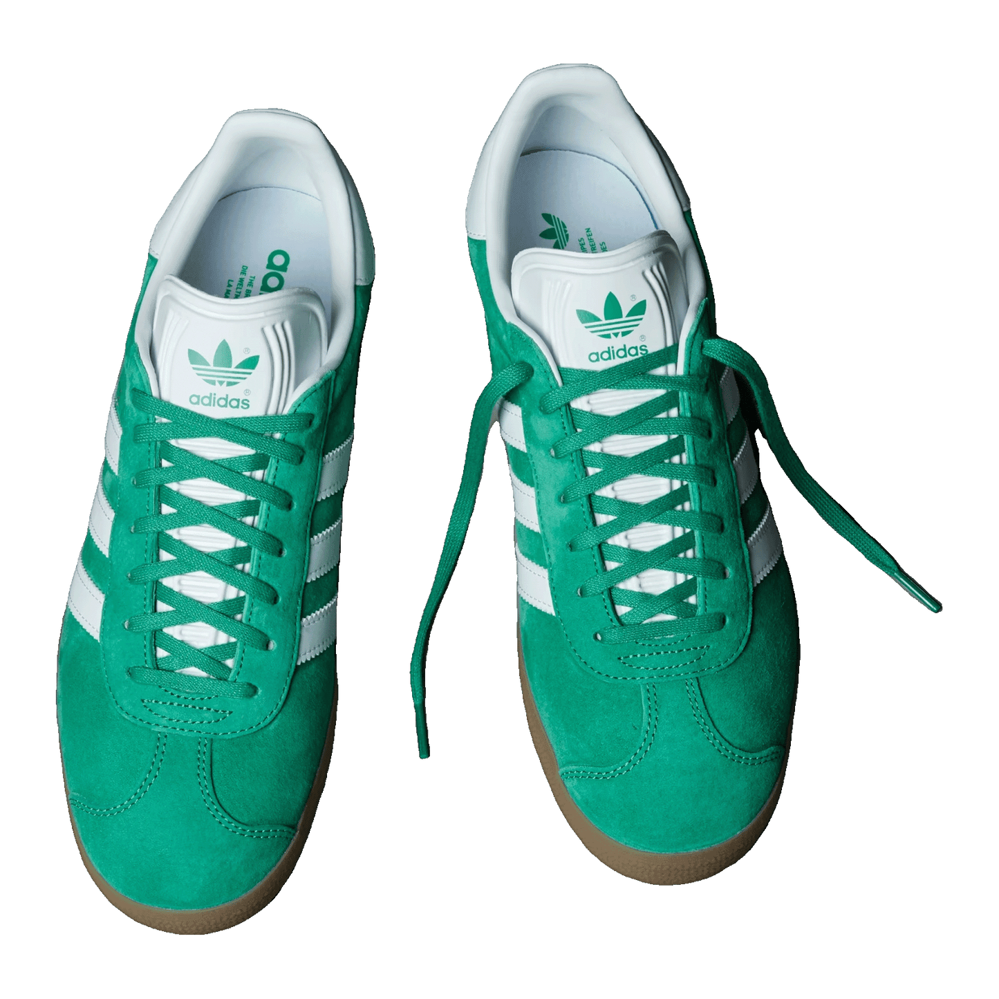 adidas Gazelle Court Green Footwear White Oben IG0671