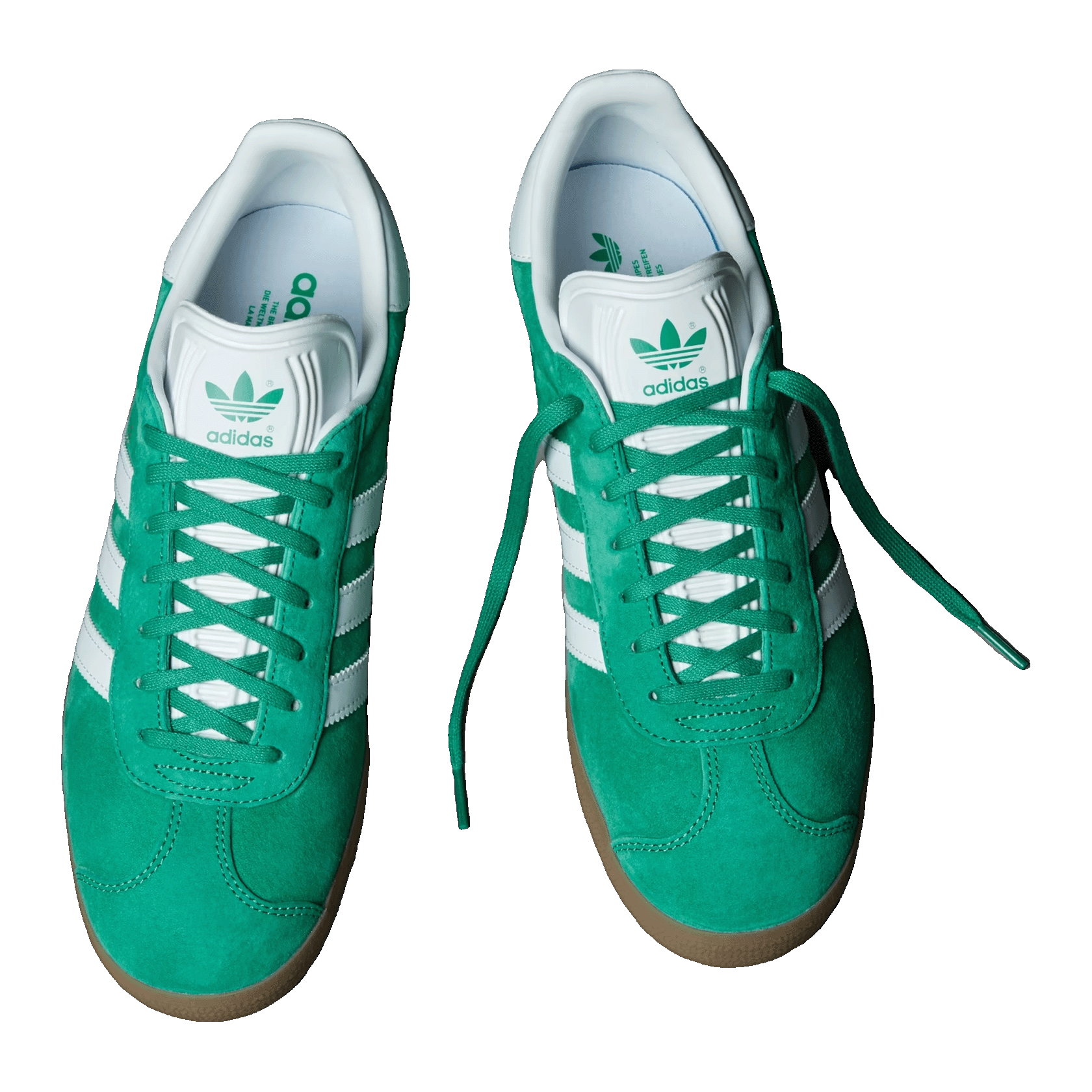 adidas Gazelle Court Green Footwear White Oben IG0671