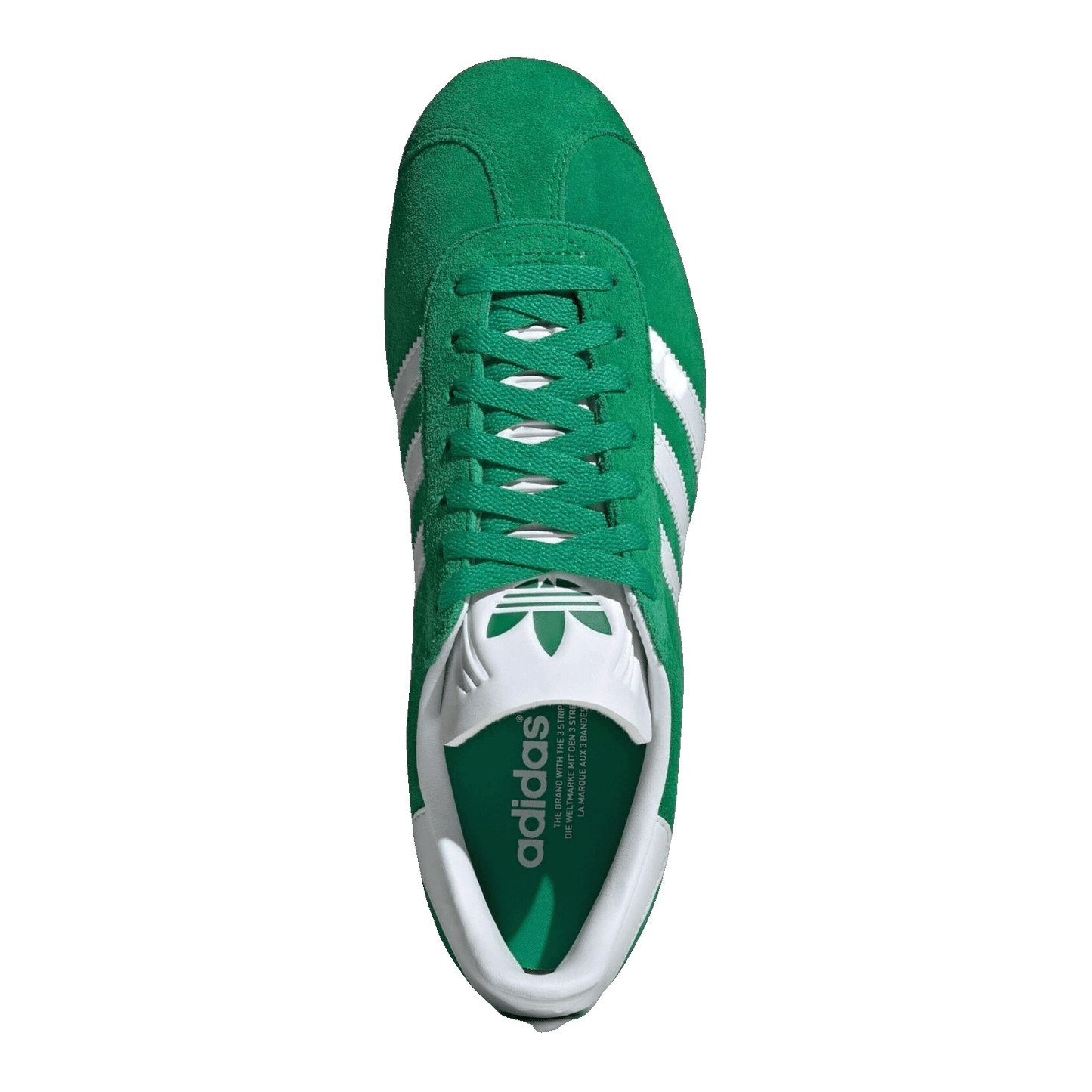 adidas Gazelle Green Cloud White Oben IG2092