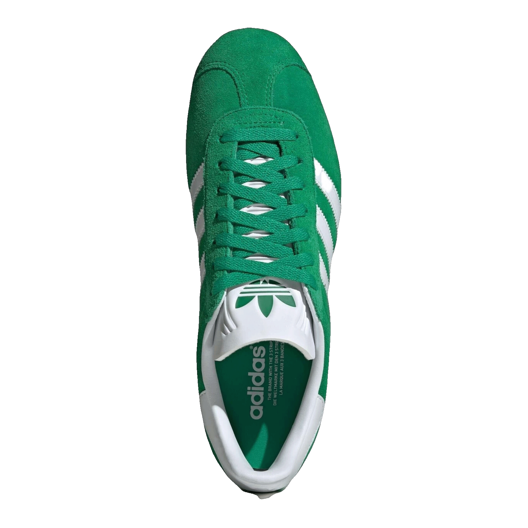 adidas Gazelle Green Cloud White Oben IG2092