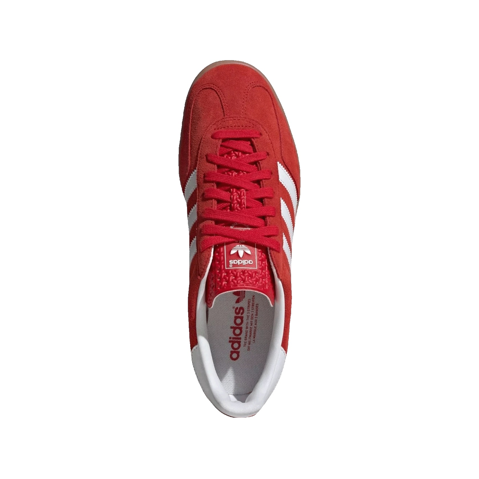 adidas Gazelle Indoor Better Scarlet Oben