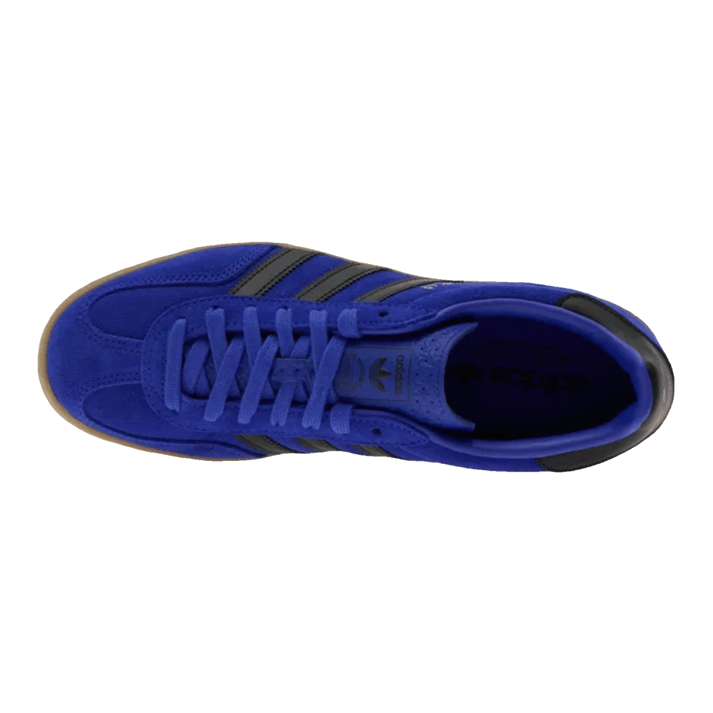 adidas Gazelle Indoor Lucid Blue Black Oben
