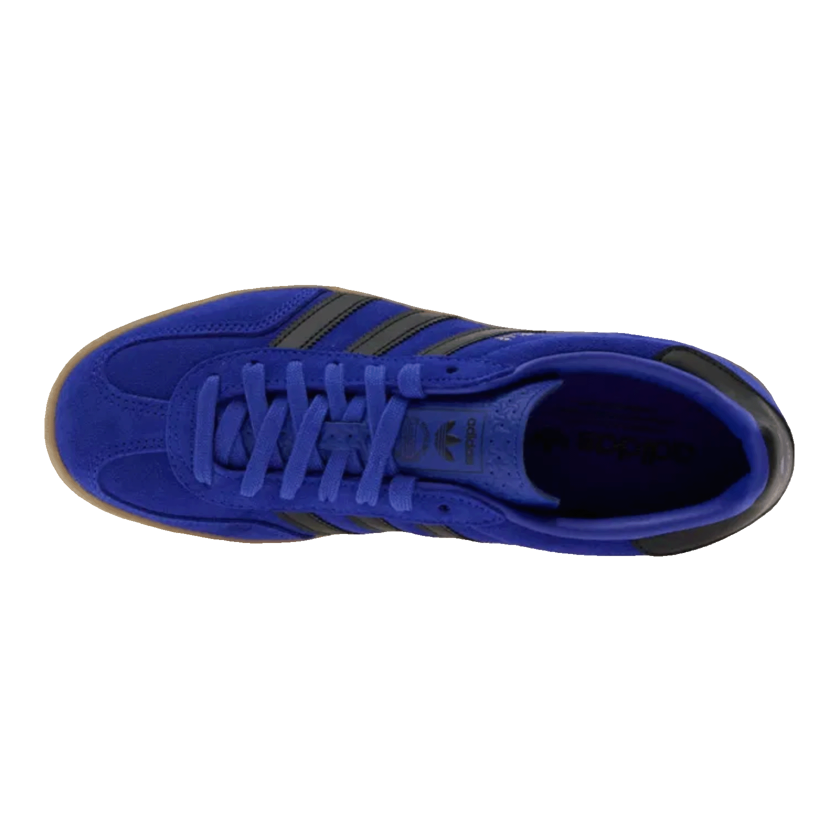 adidas Gazelle Indoor Lucid Blue Black Oben